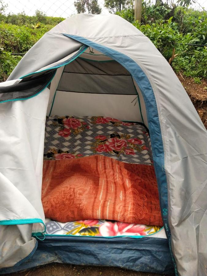 Janardan Tea Campsite * Ooty