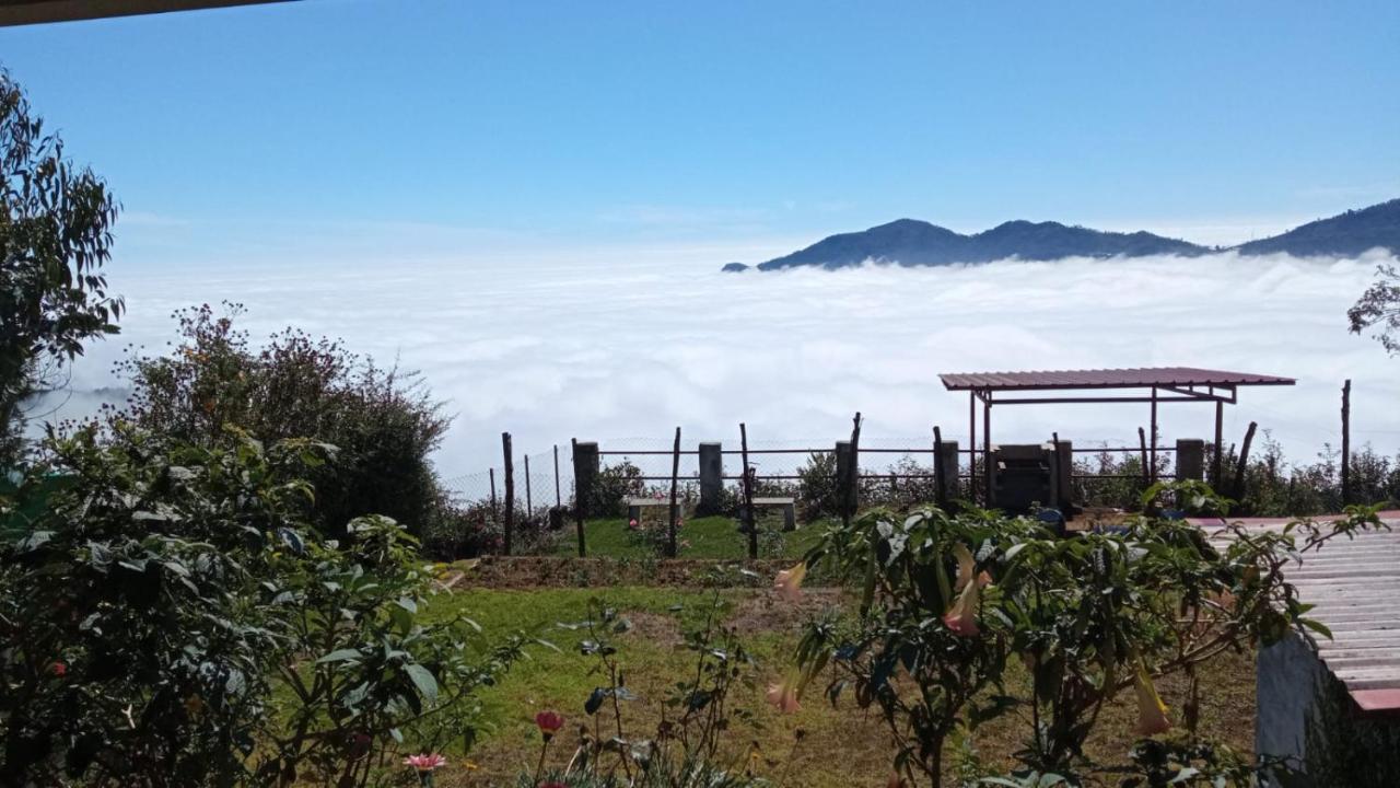 The Views - True Baduaga Living Villa Ooty