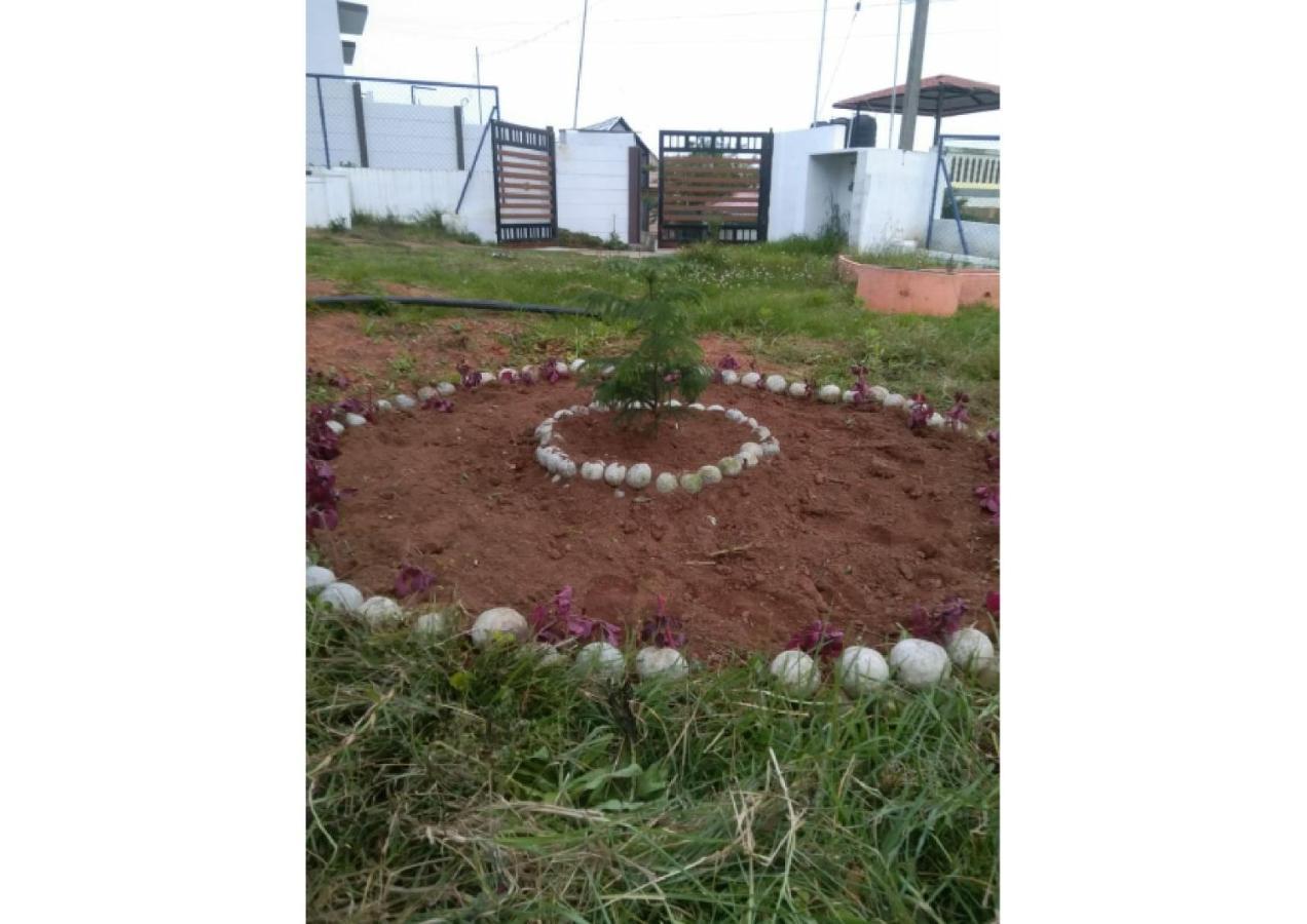 Villa The Amasya *