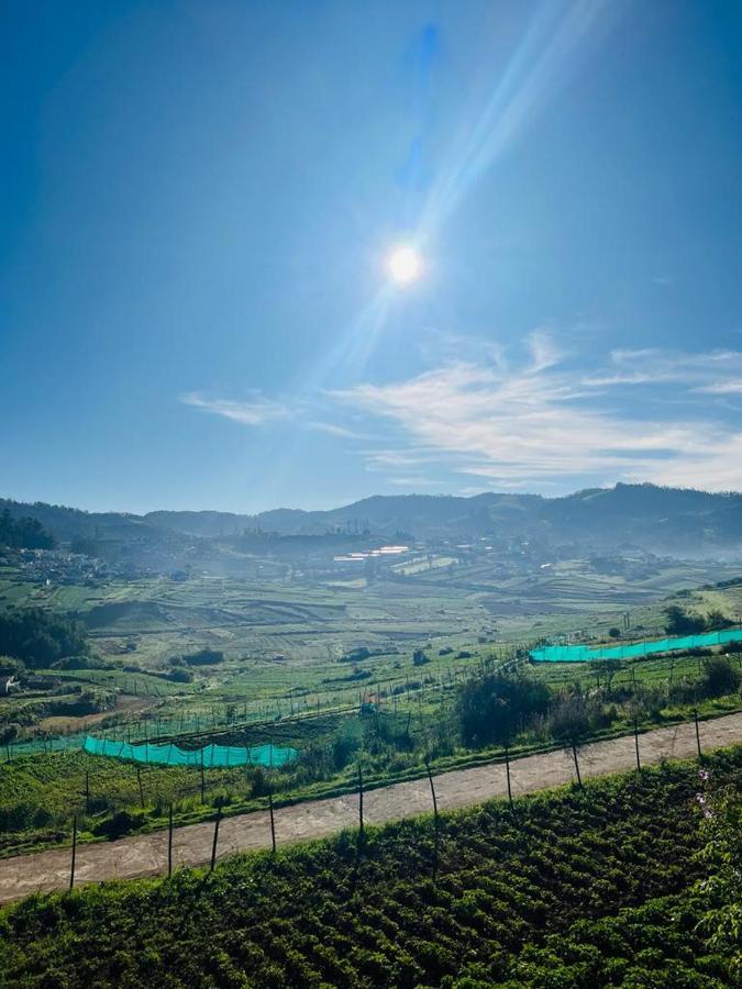 Britiish County Ooty