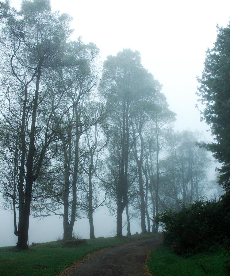 Sabol Holidays Ooty
