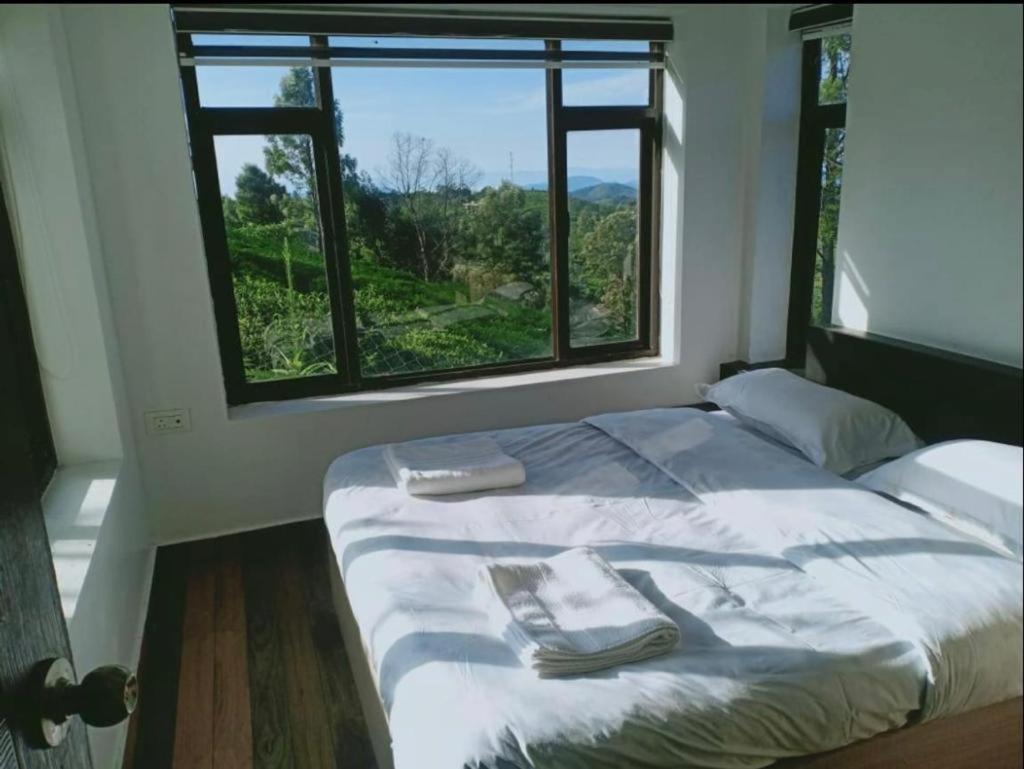 Resort Carrot Creek *