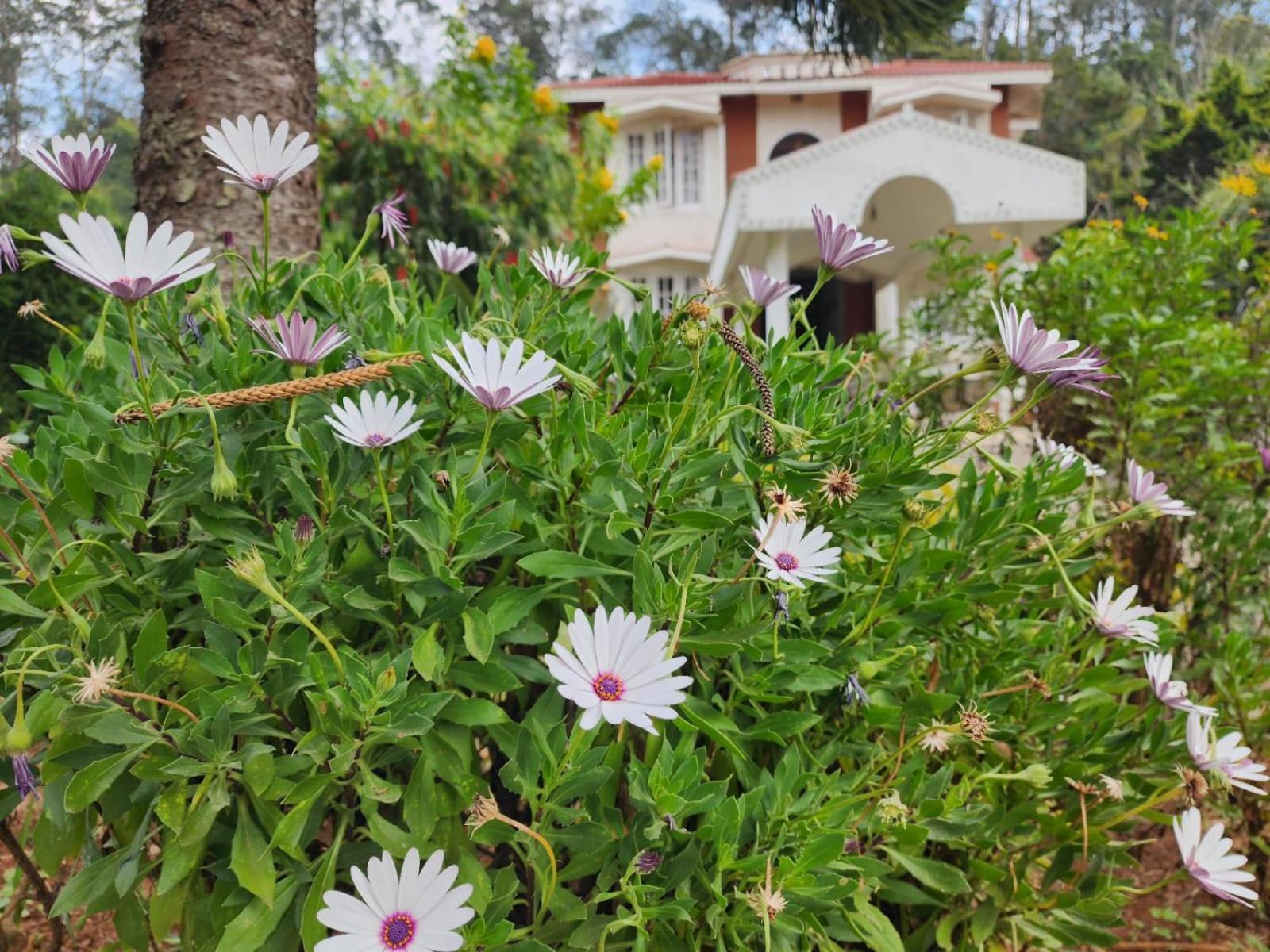 Narmada Homestay