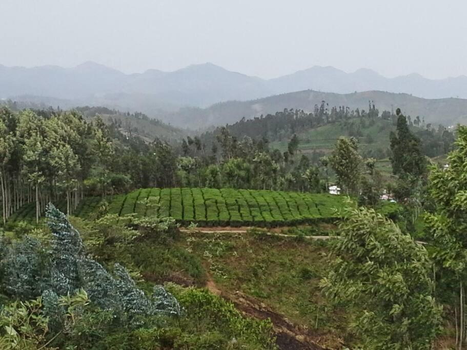 Holiday home Mountain Holidays Home, Ooty