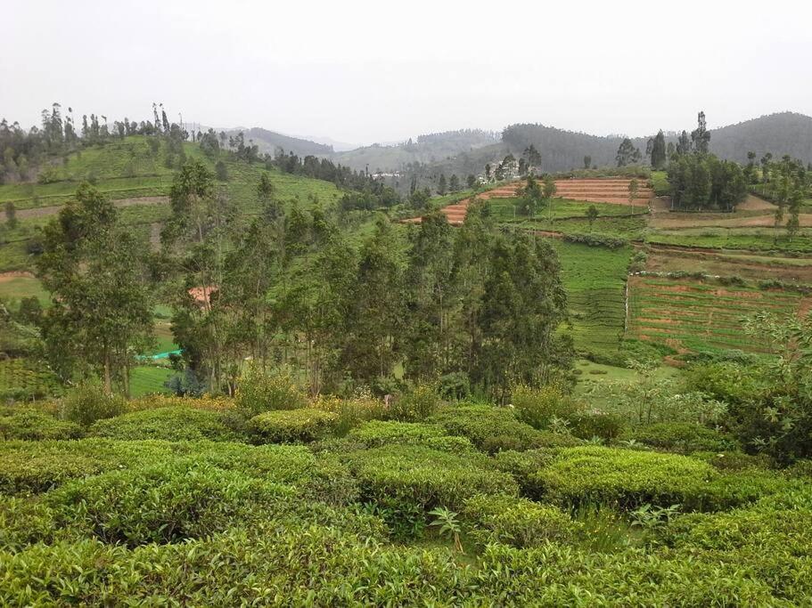 Holiday home Mountain Holidays Home, Ooty