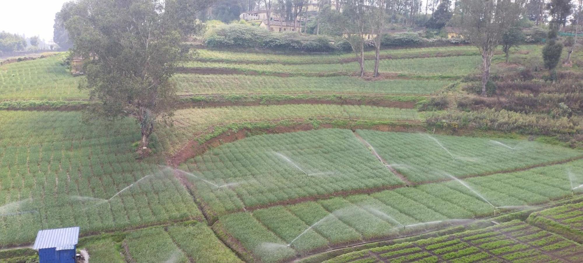 Homestay J J Homes *