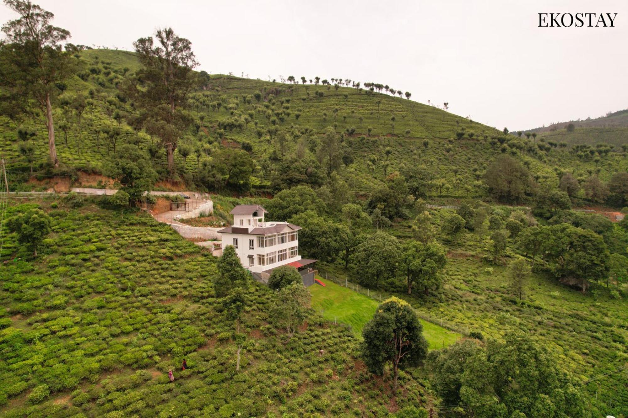 Ekostay I Pearl House I 360 Degrees Tea Estate *