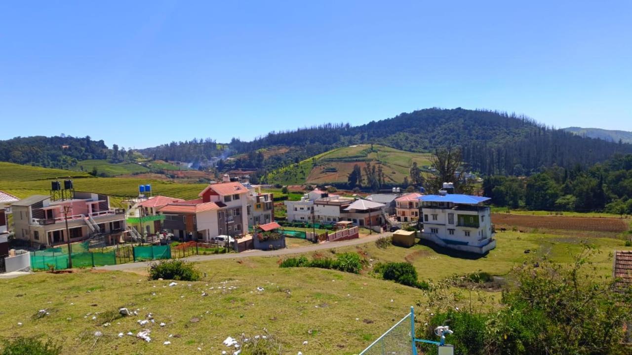 Sky Blue Ooty