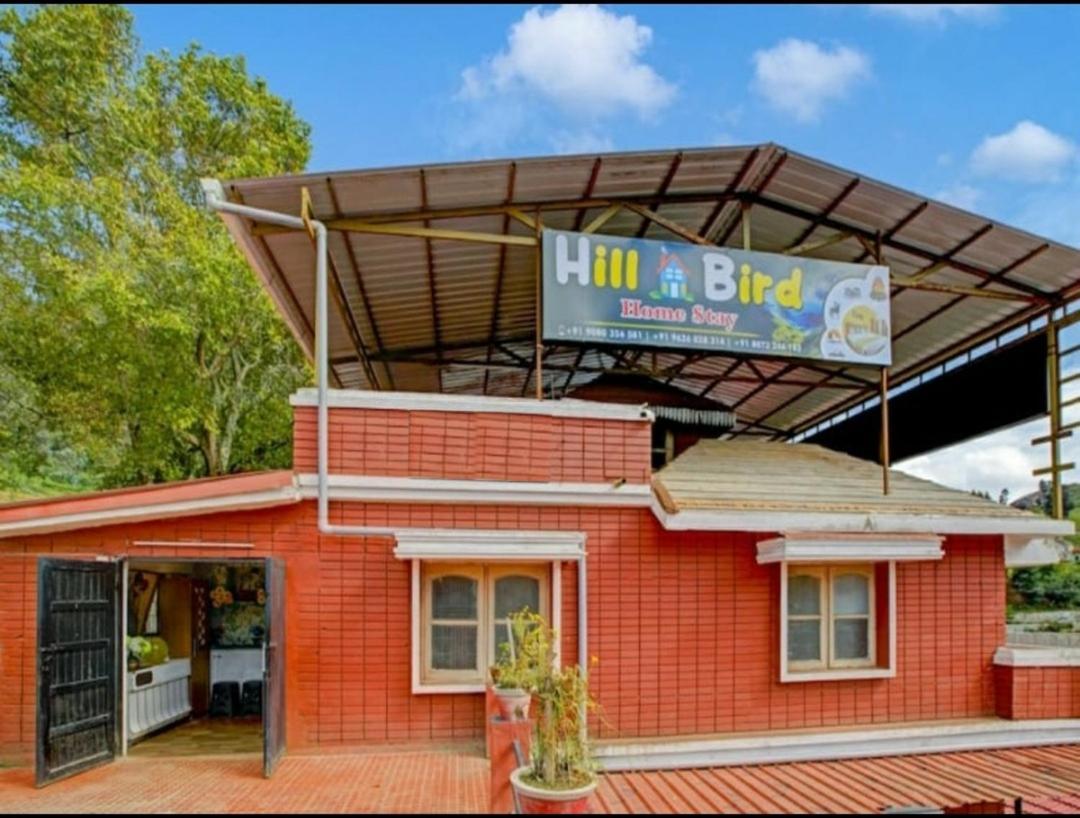 Hill Bird