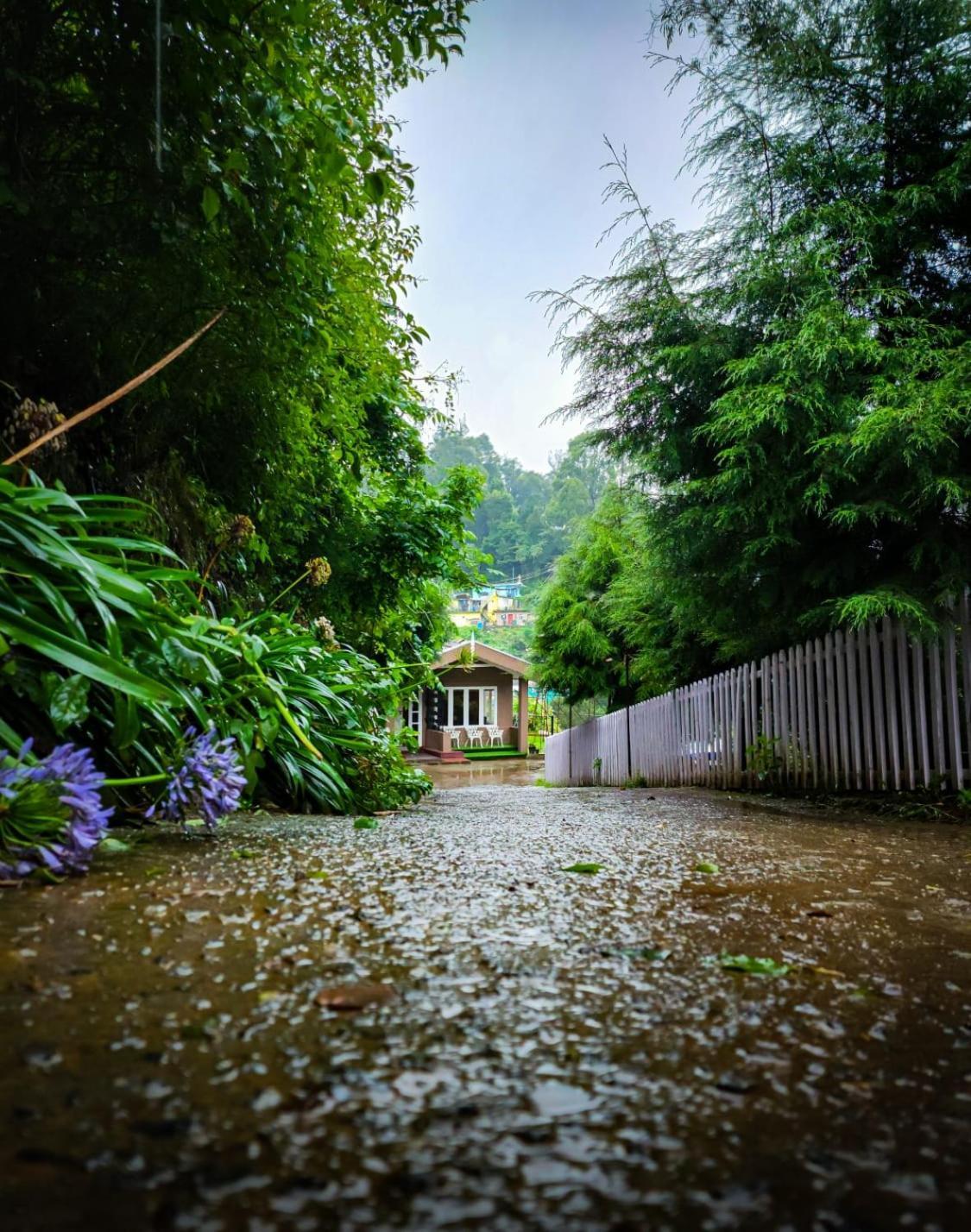 Woodhouse * Ooty
