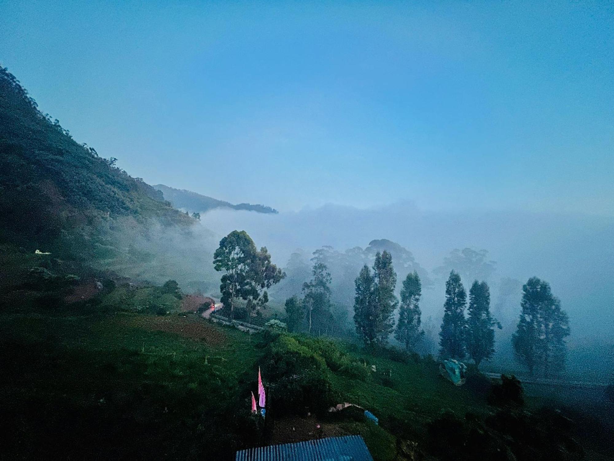 Teyt's Sun View Ooty