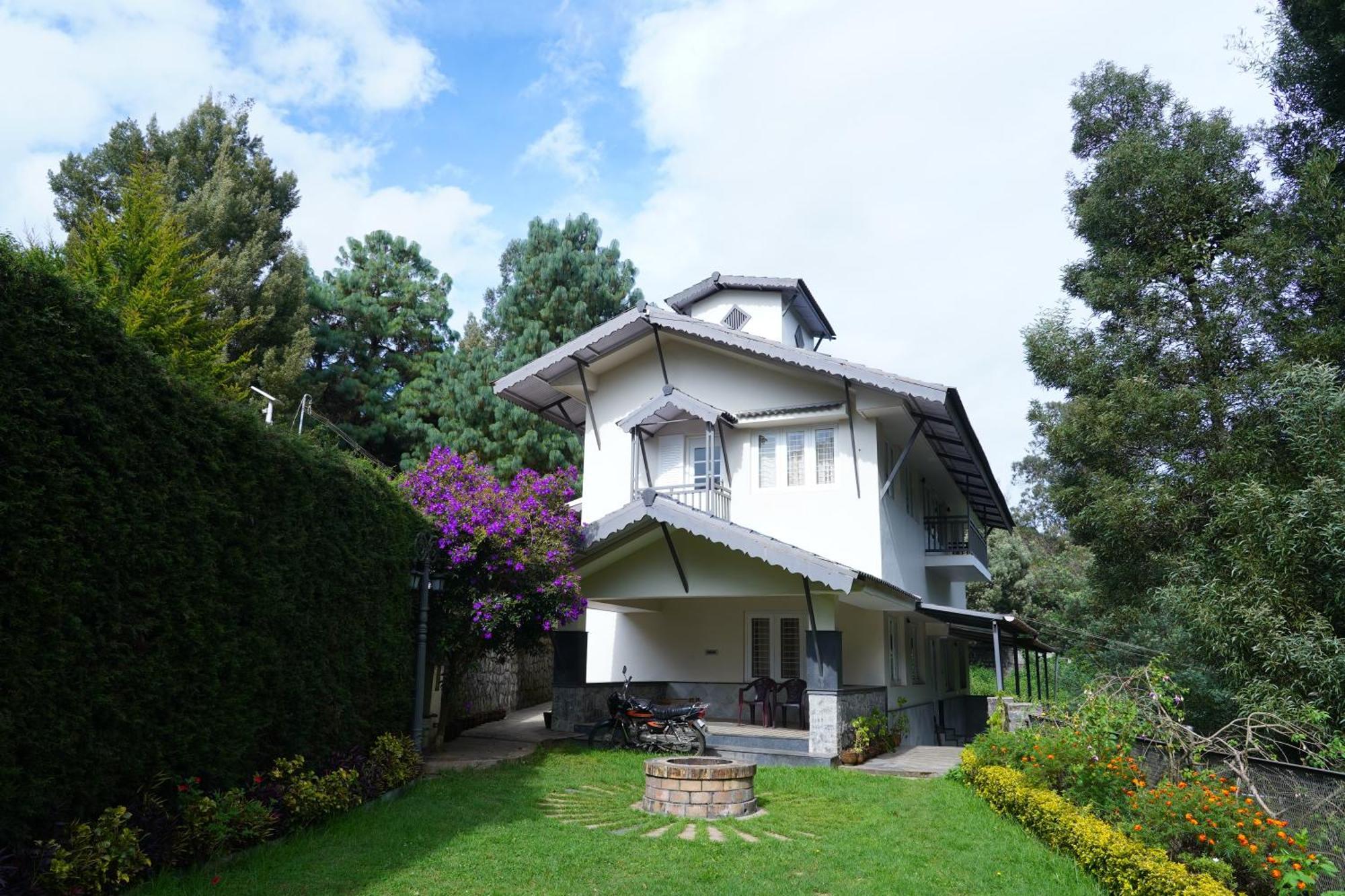 Velvet Ooty