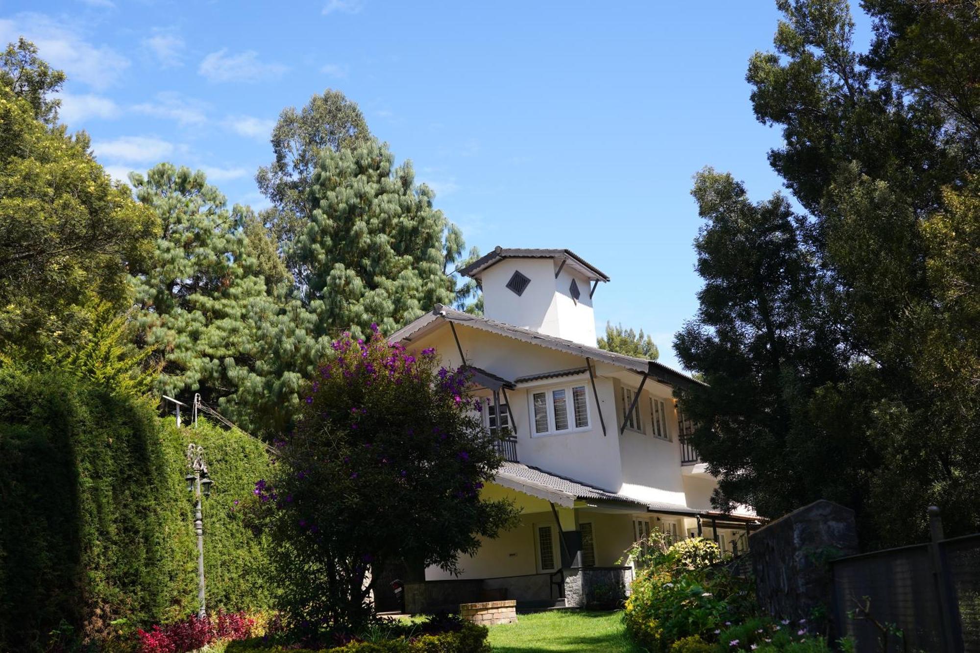 Villa Velvet *