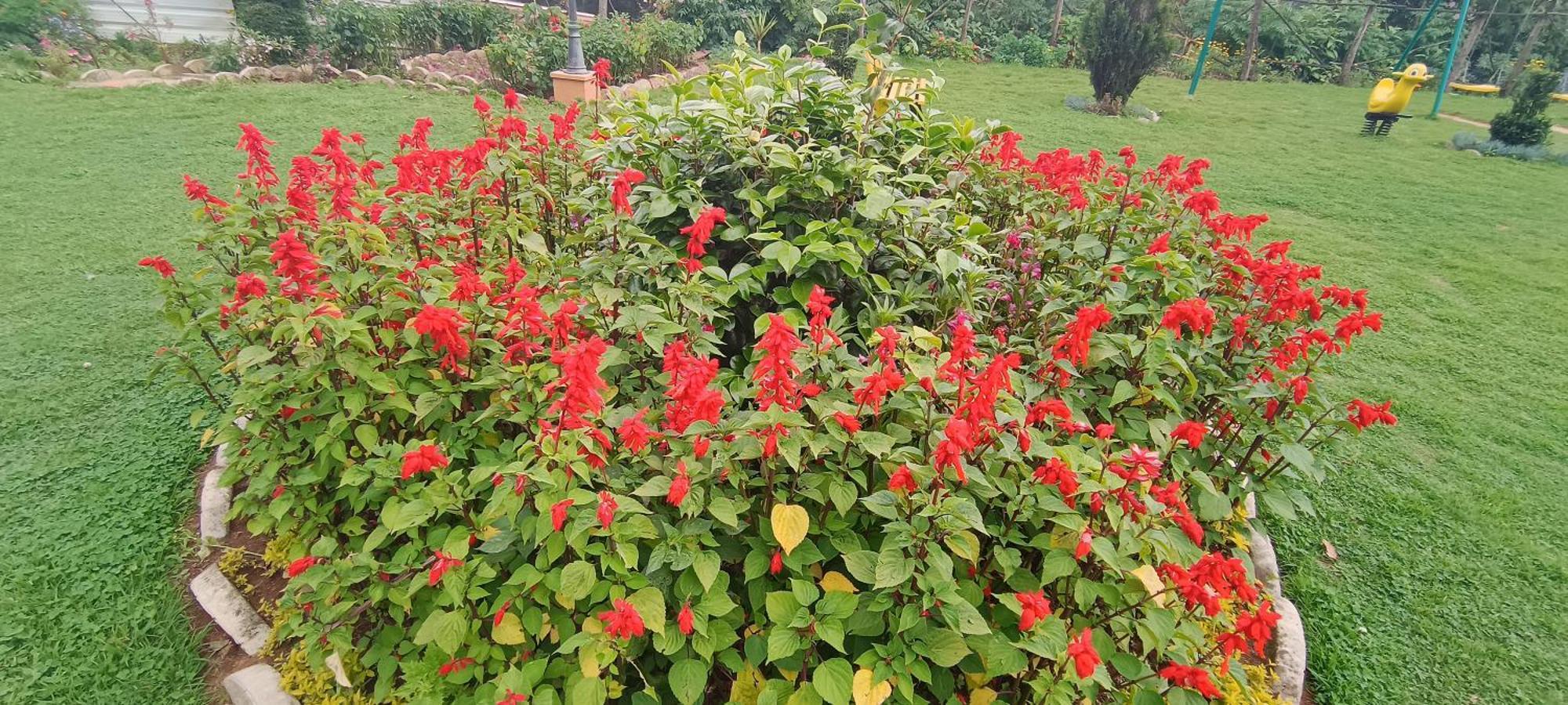 Yantra By Spree 4* Ooty