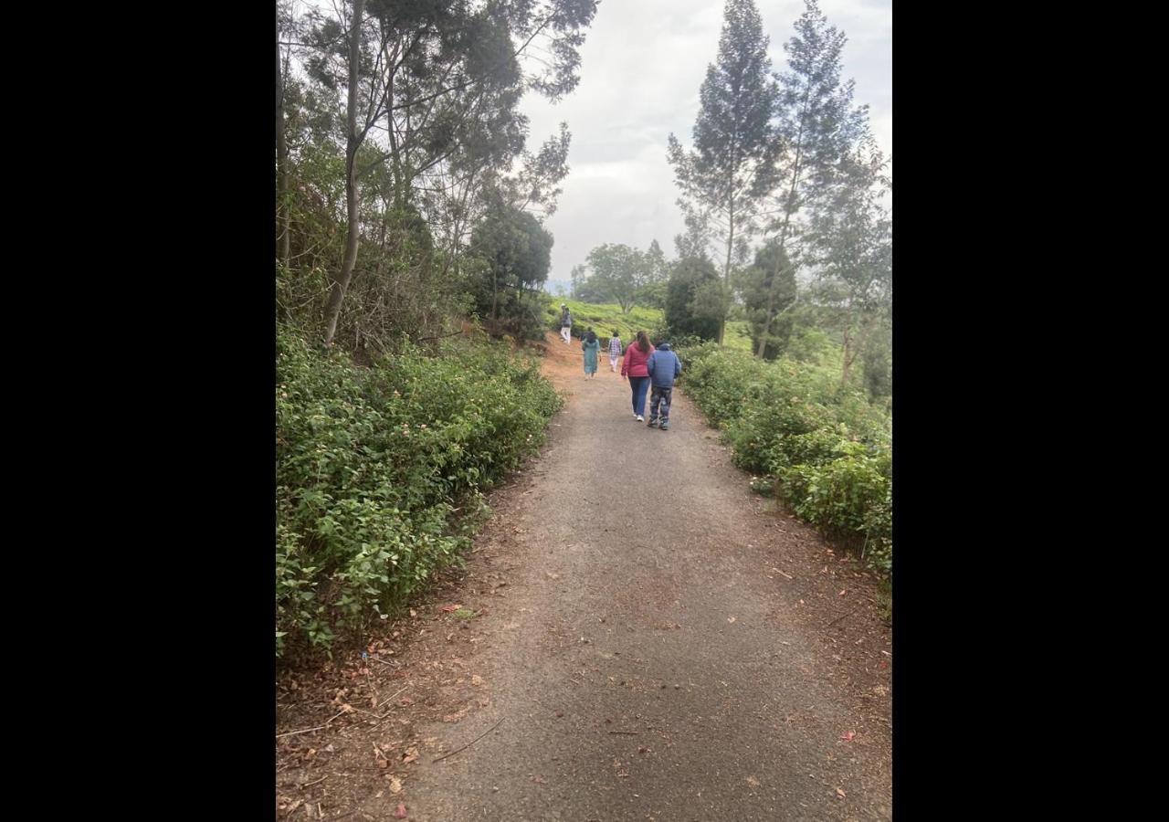 Hotel Willow Hill By Nature And Ooty