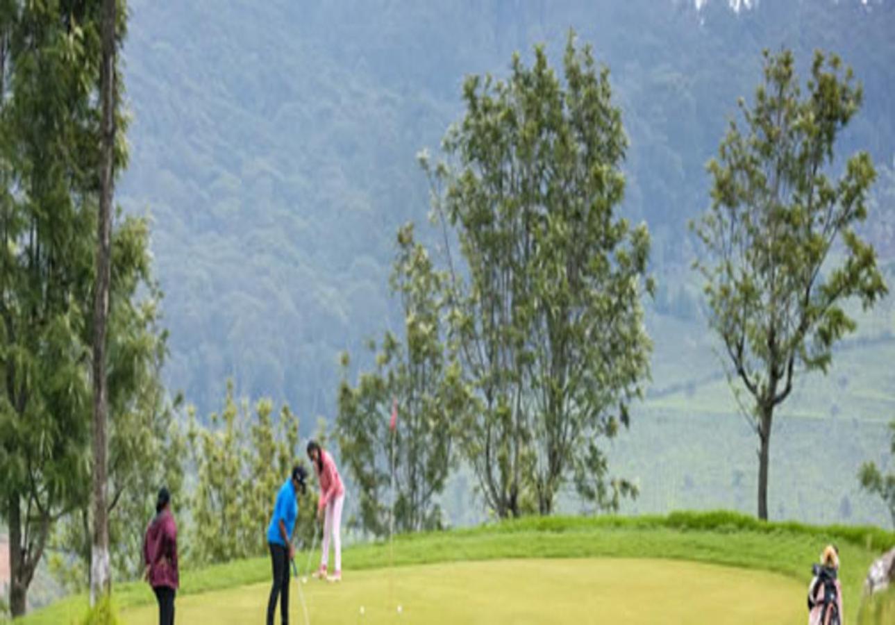Willow Hill By Nature And Hotel
