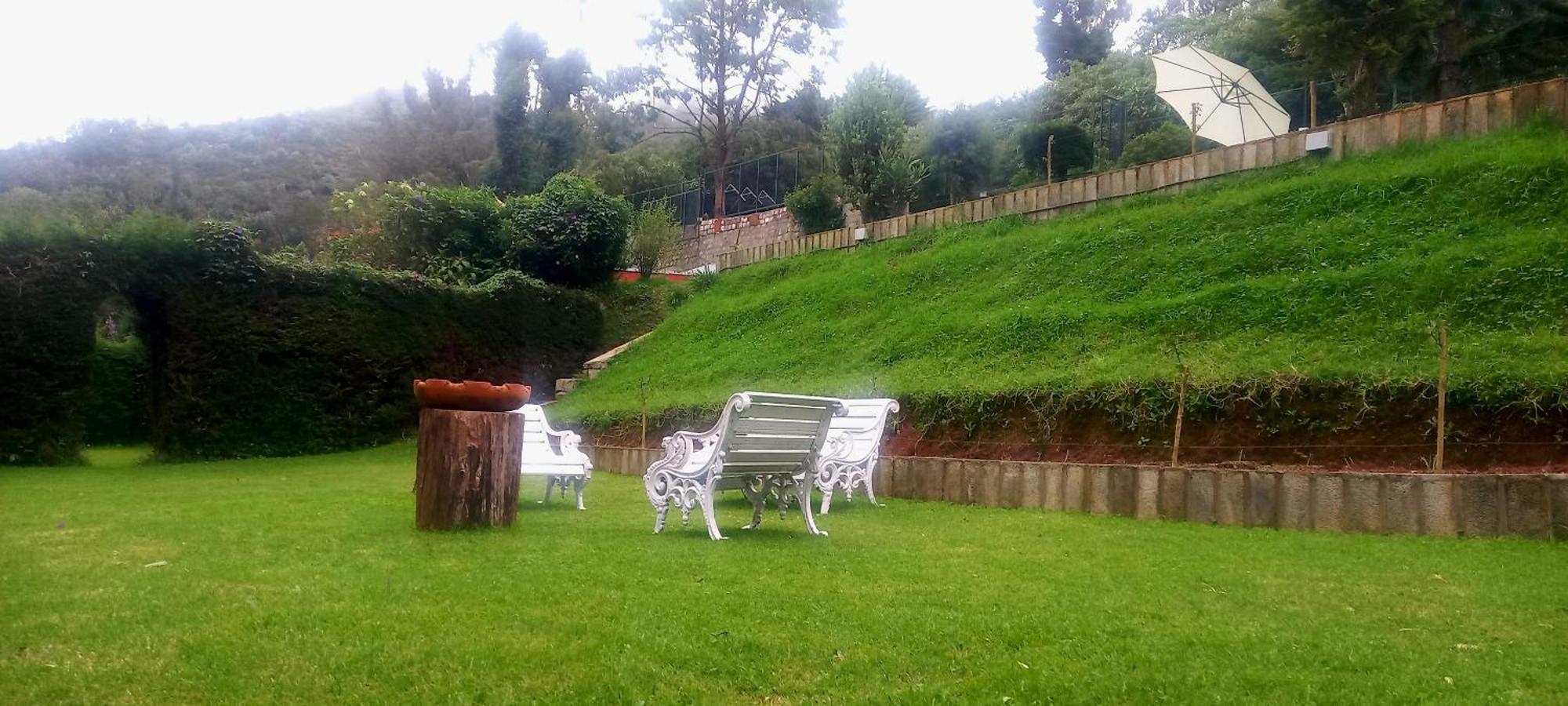 Willow Hill By Nature And Ooty