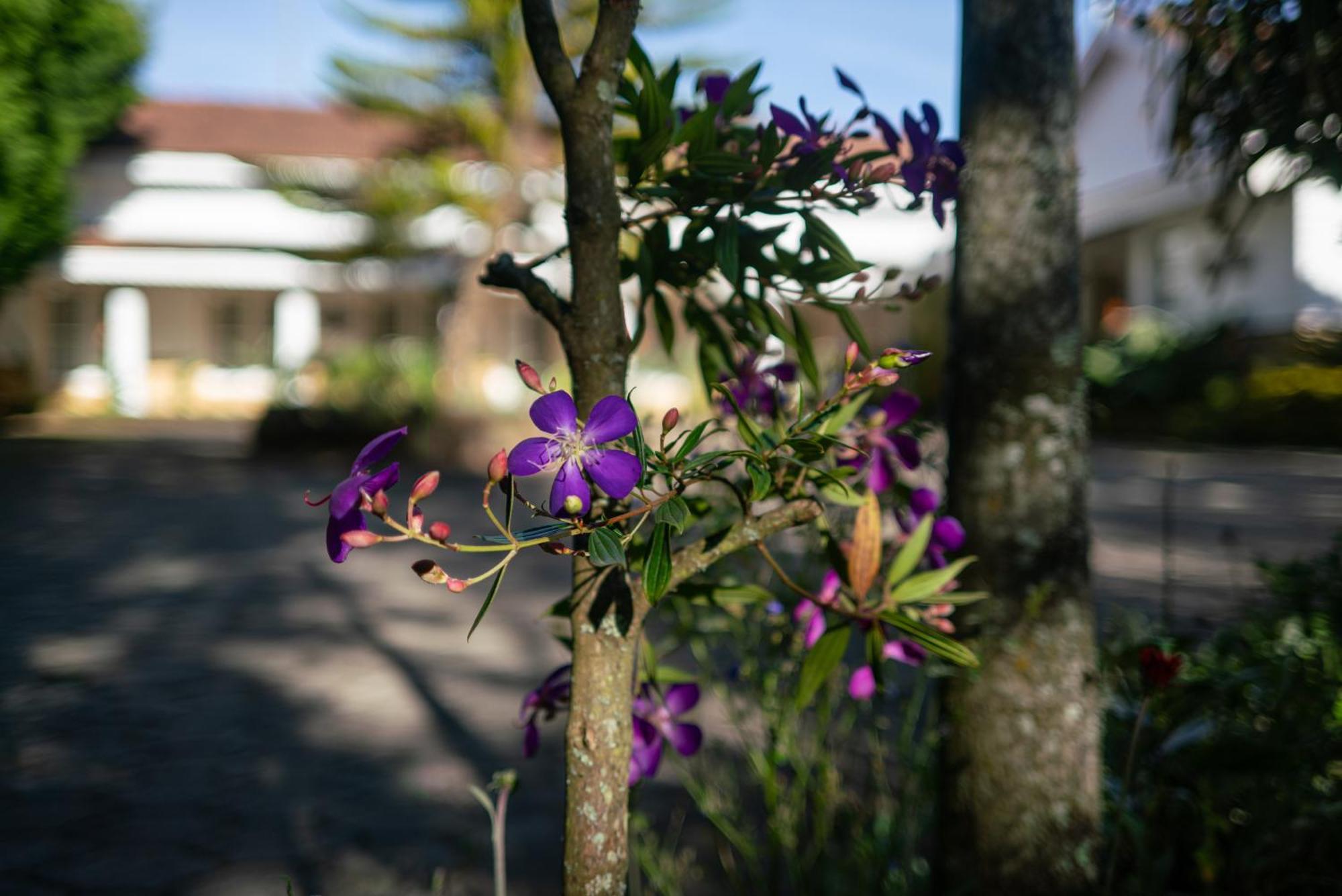 Homestay Marlihill - A Cgh Earth Saha Experience Ooty