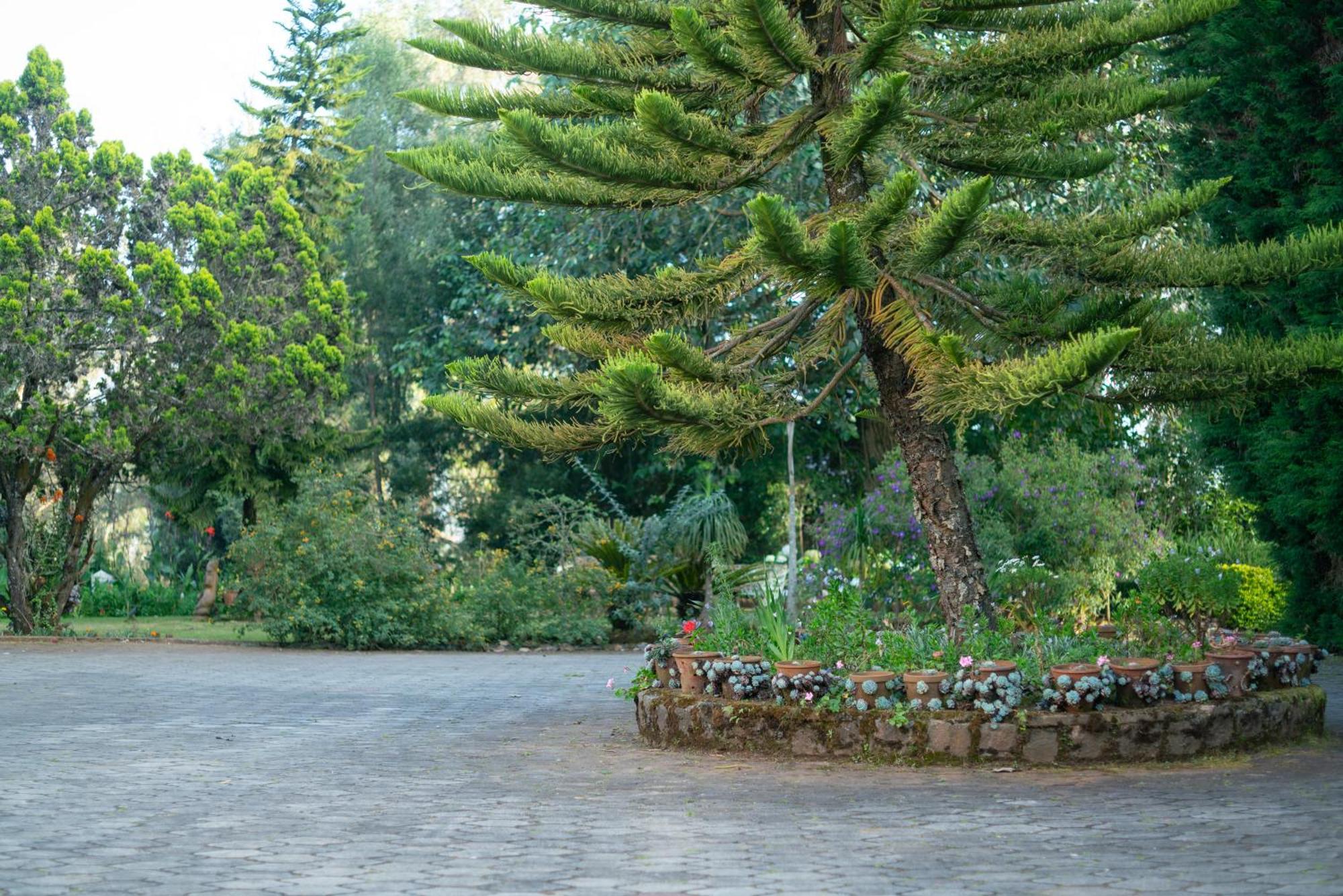 Marlihill - A Cgh Earth Saha Experience *