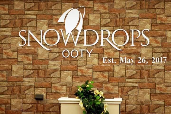 Snowdrops Holiday home *