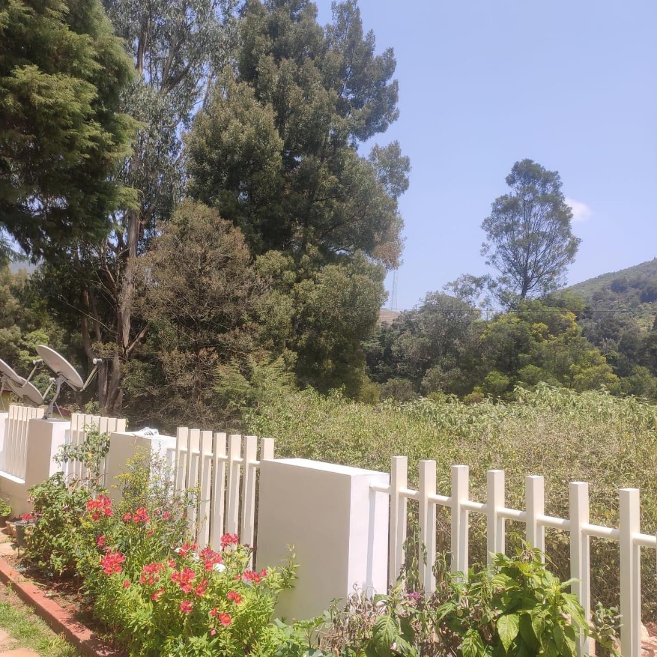 Snowdrops Ooty