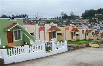 Pine Wood Hotel 4*