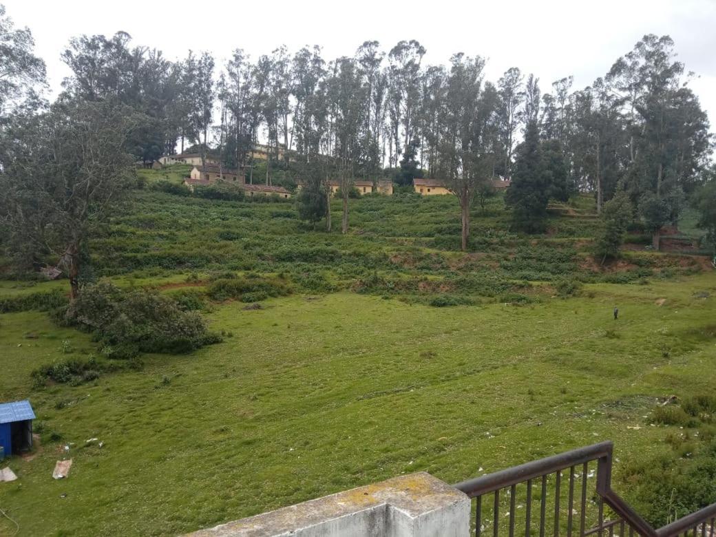 Homestay Hill