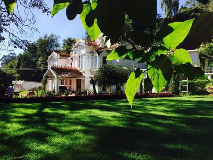Homestay Marlborough House *