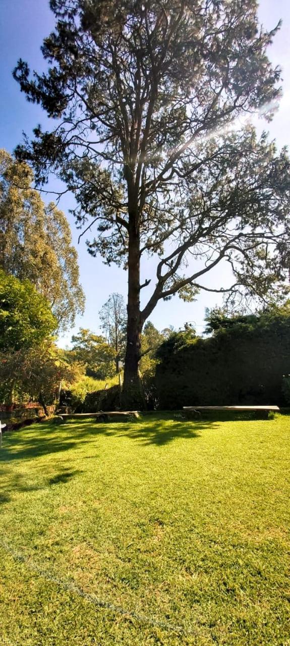 Marlborough House Homestay