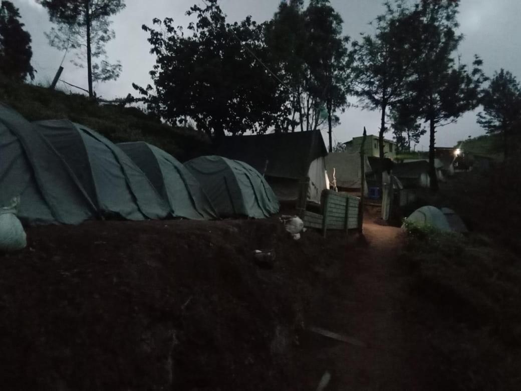Janardan Tea Campsite Campsite Ooty