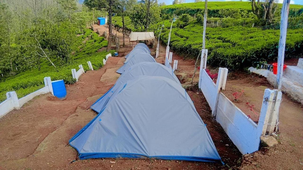 Janardan Tea Campsite