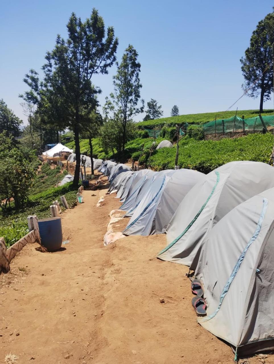 Janardan Tea Campsite Campsite