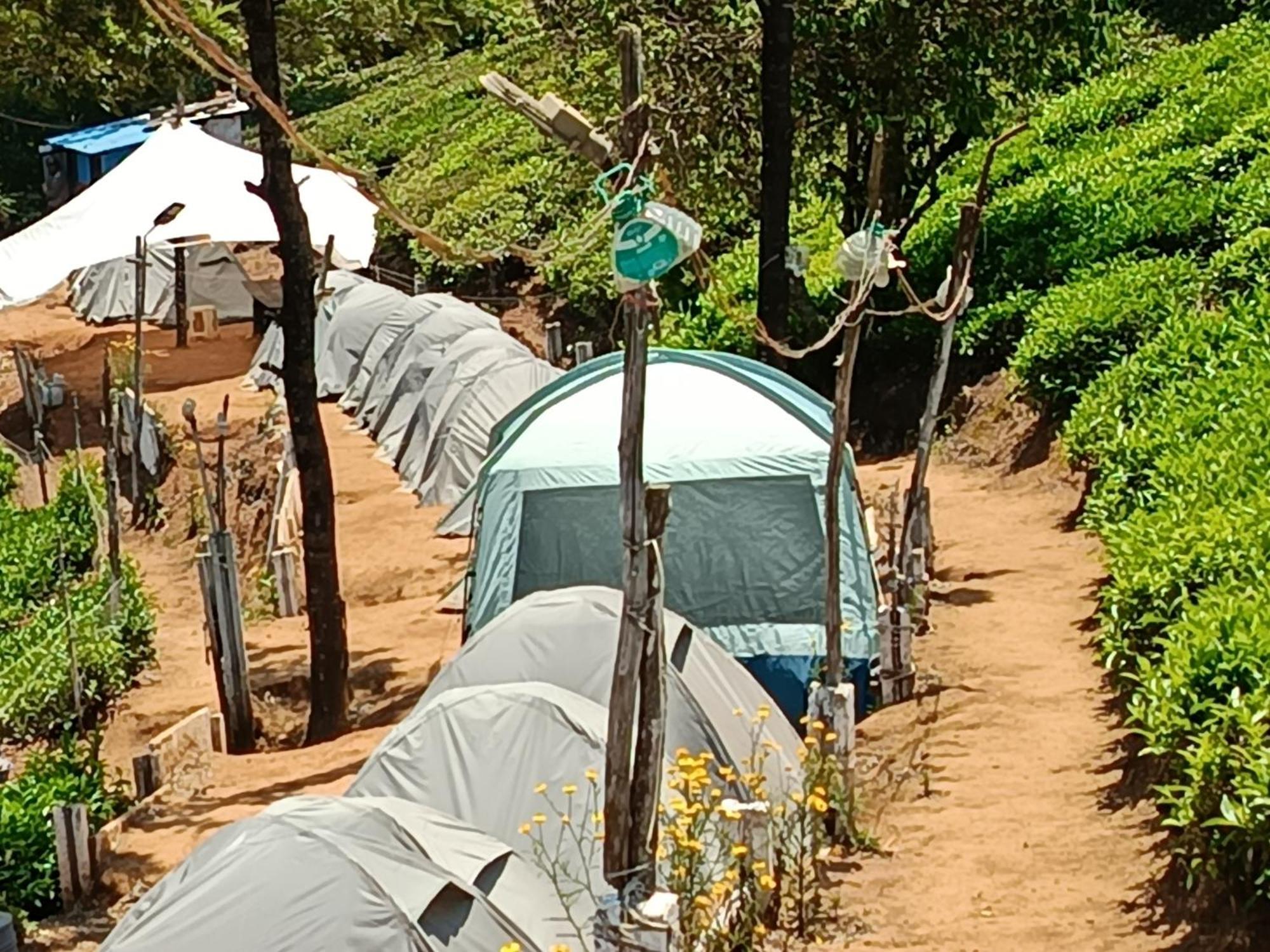 Janardan Tea Campsite