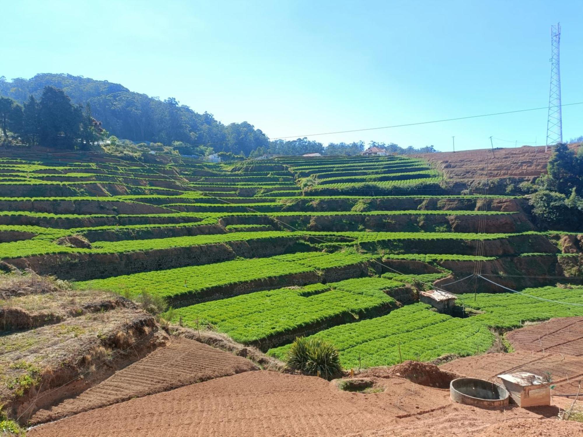 Little Castle Homestay Ooty
