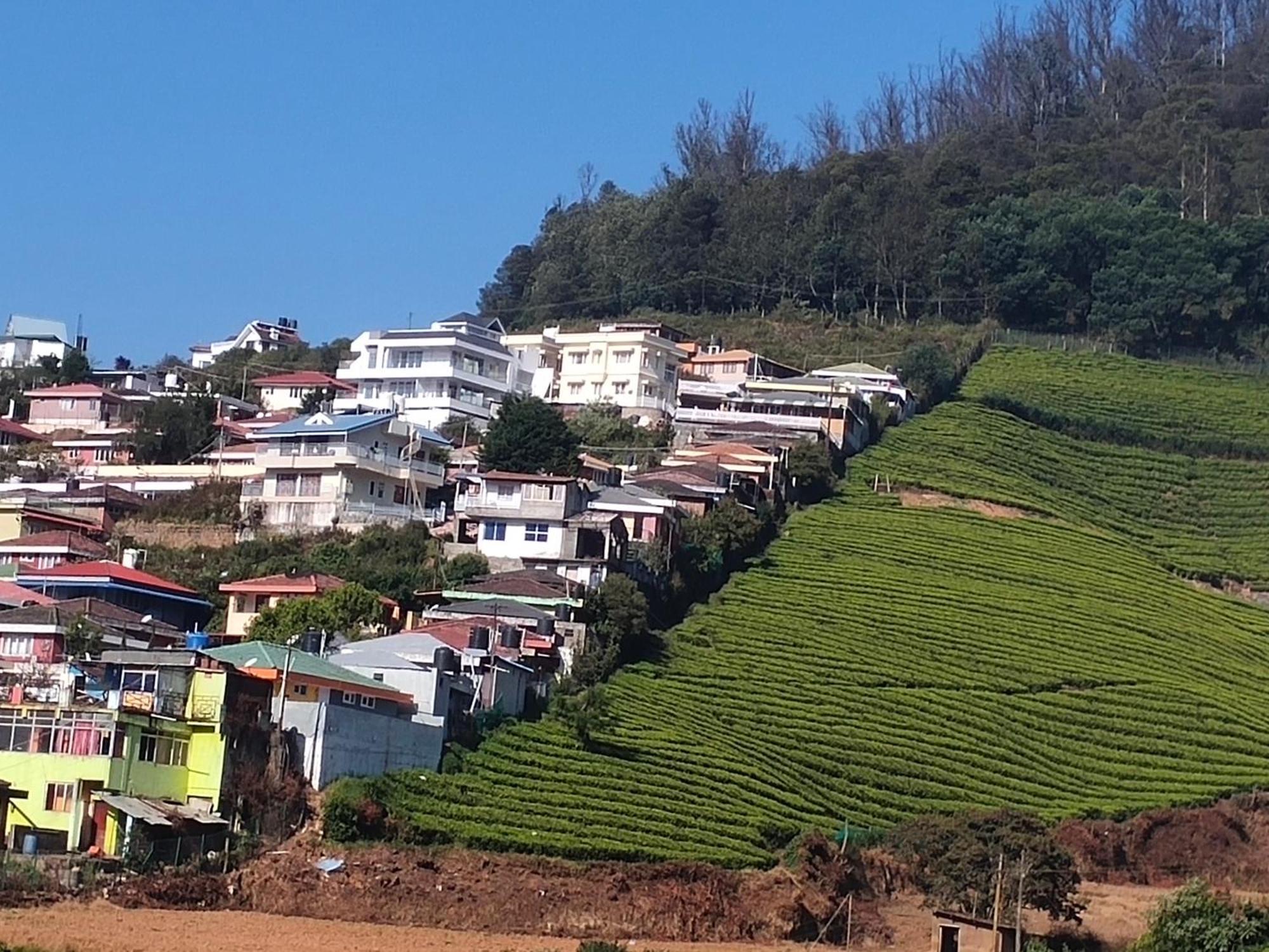 Homestay Hill View Dream