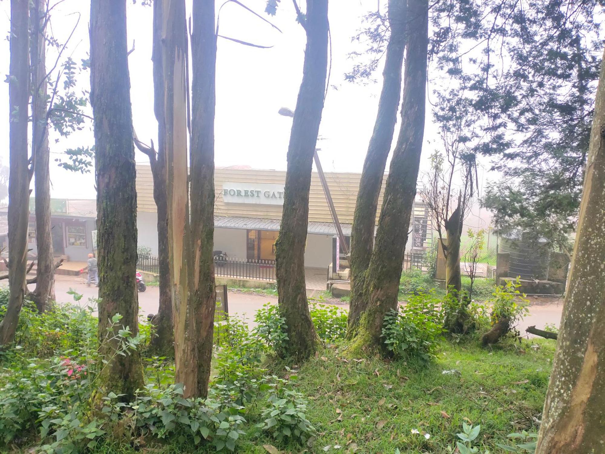 Villa Forest Gate