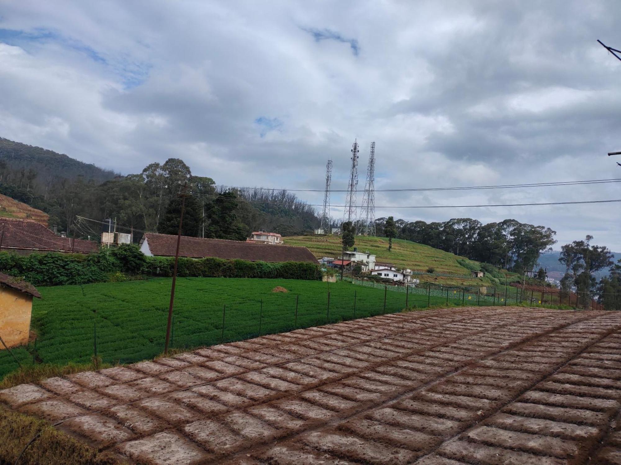 Forest Gate * Ooty