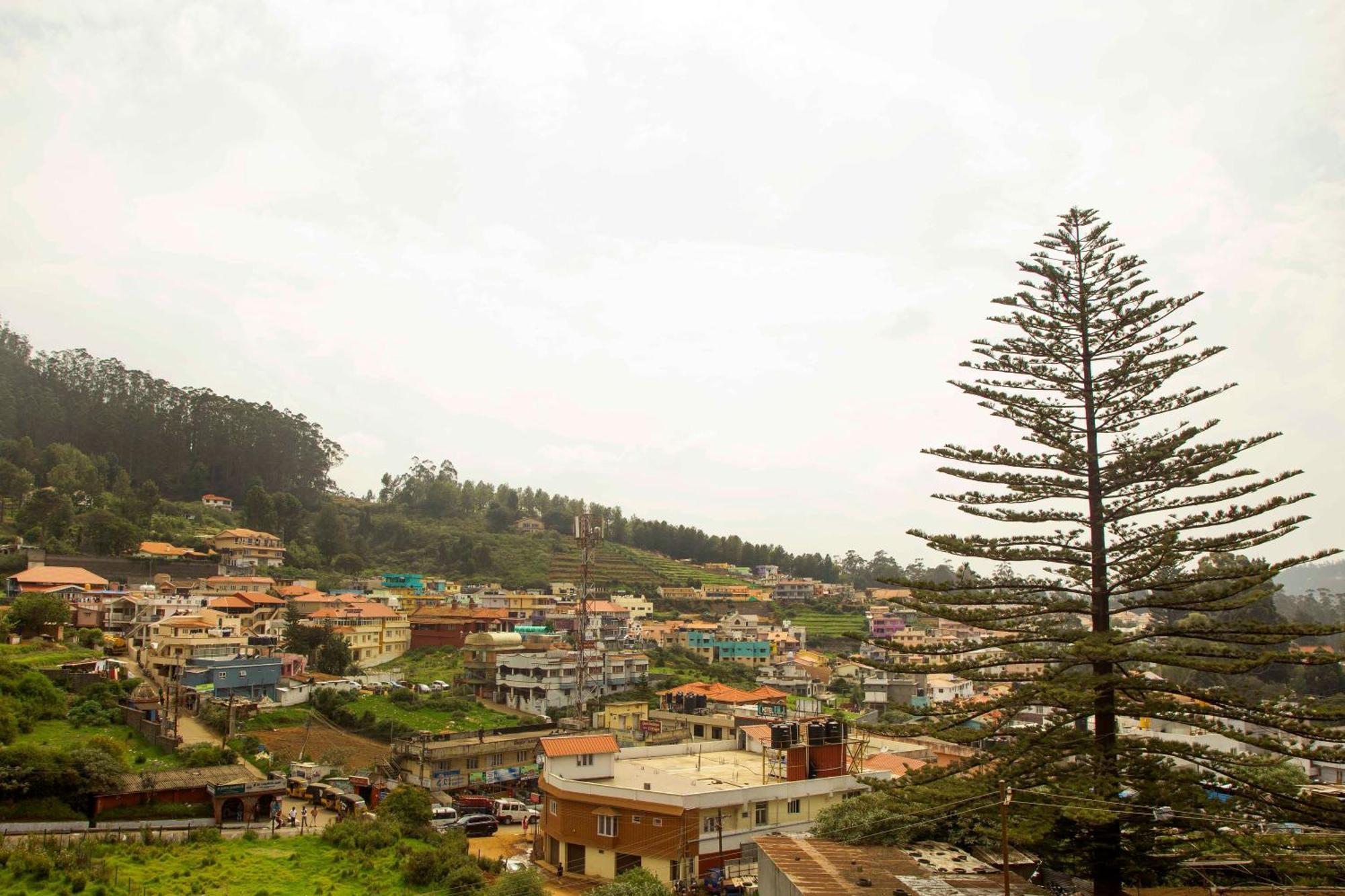 Capital O 8709 Rain Forest Ooty