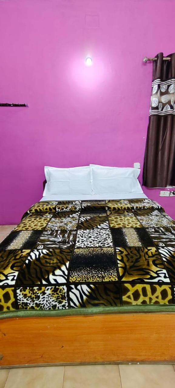 Nilgiri Dream House