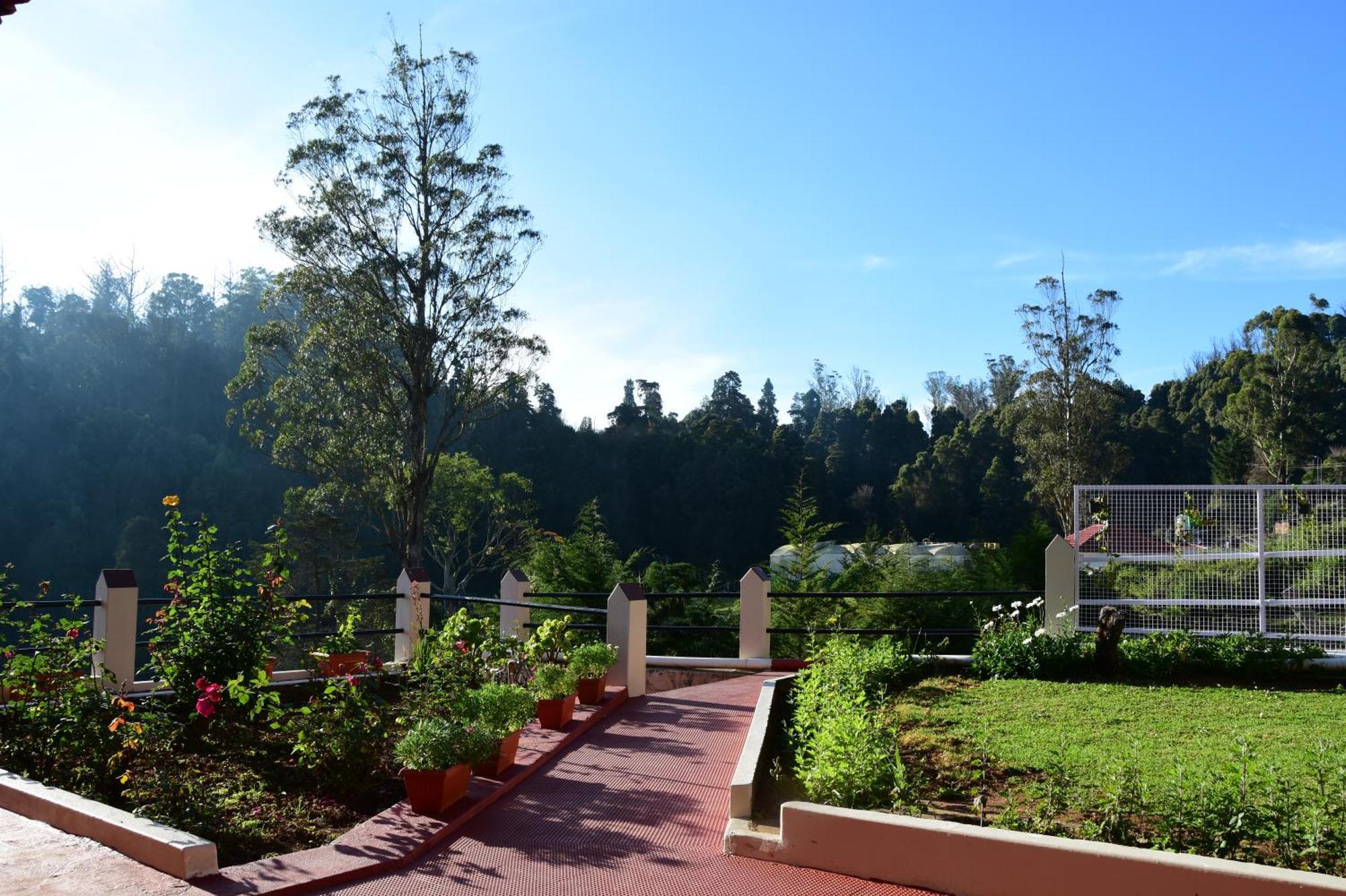 Rosewood 1 Ooty