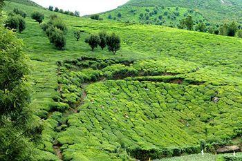 Bkr Gate Hotel Ooty