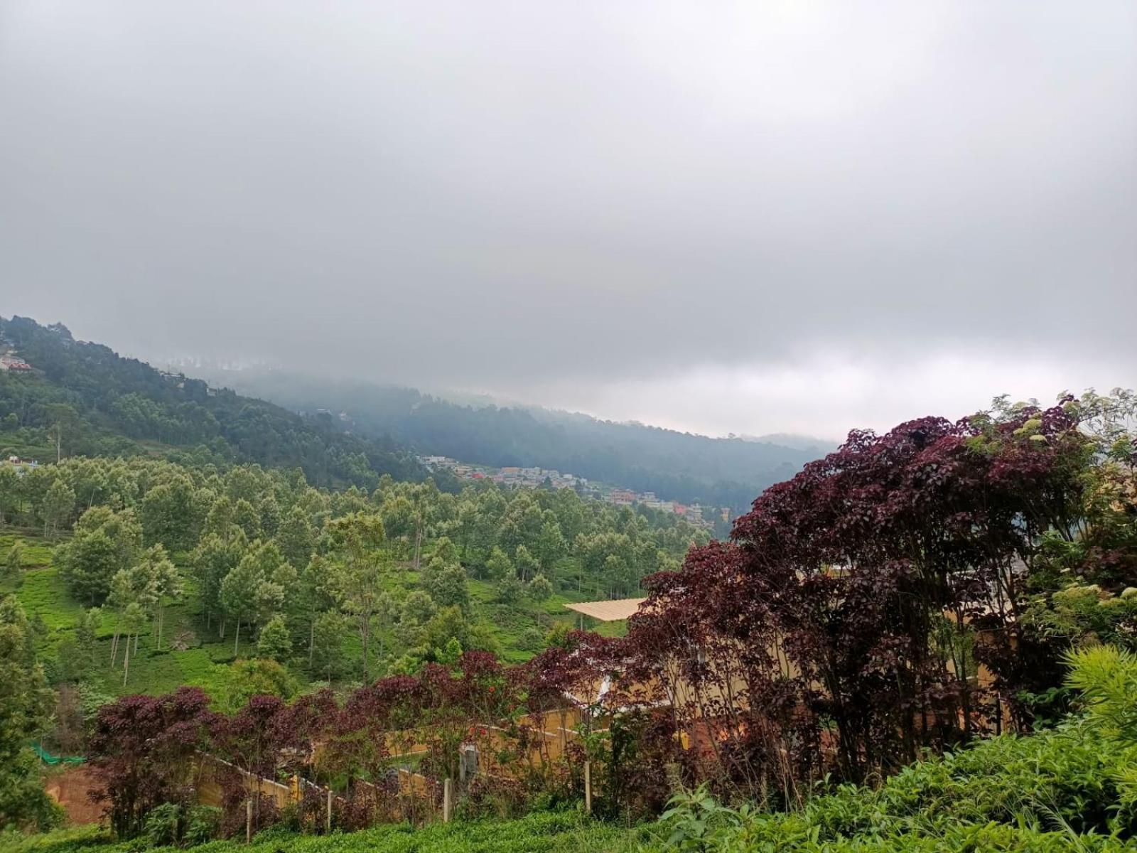 Homestay Valley Homes Ooty
