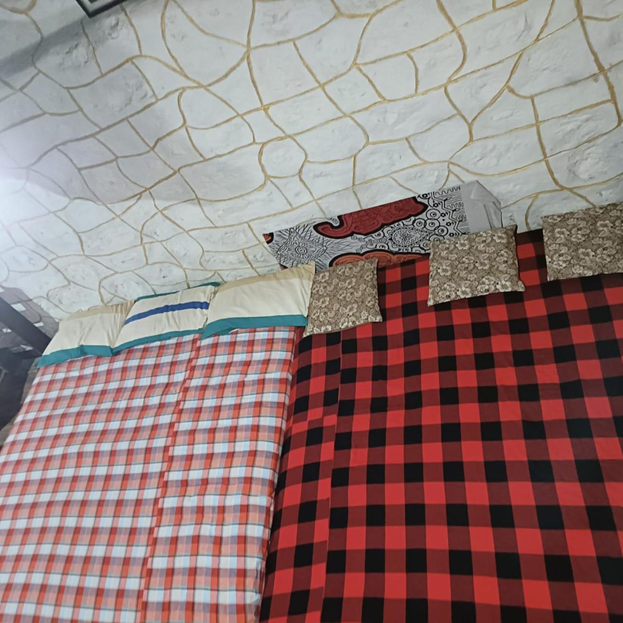 Wild And Free Farm *