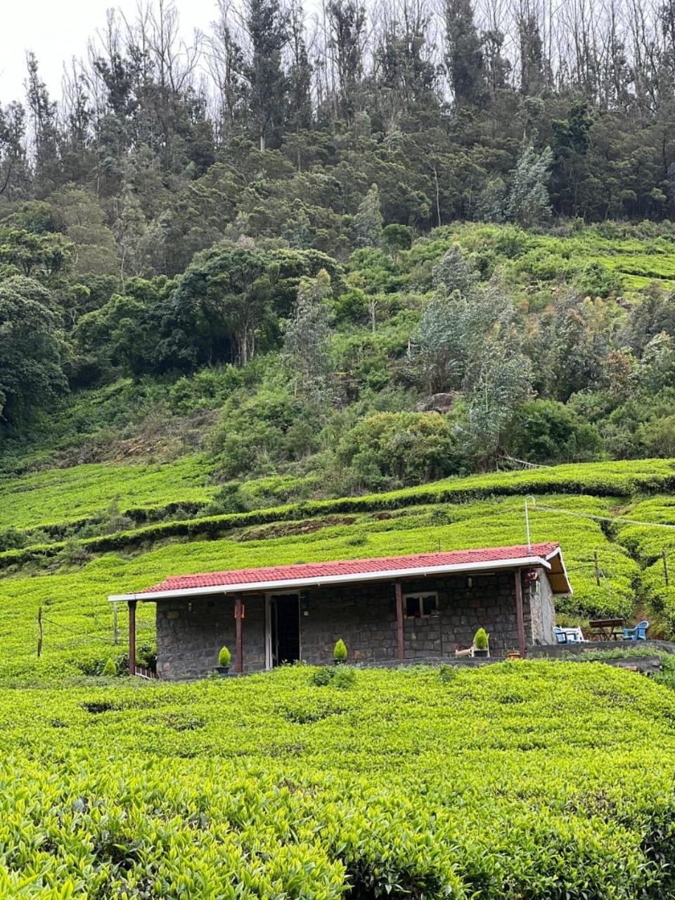 Wild And Free Farm *