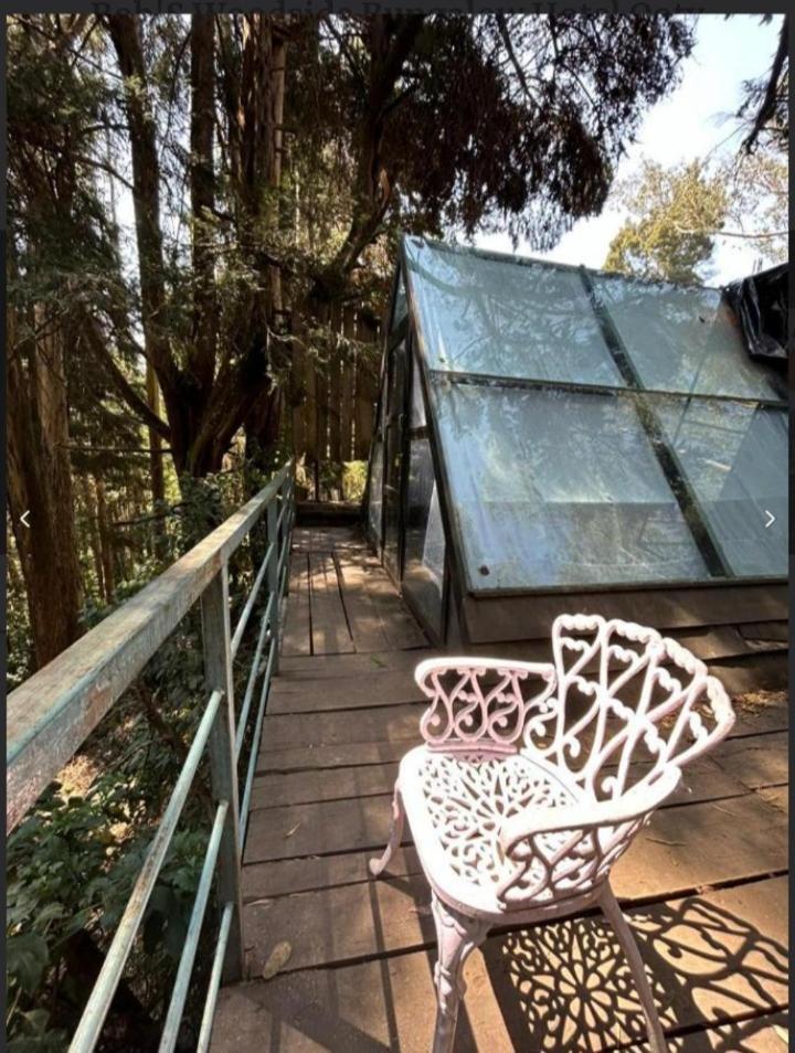 Shamis Aframe Campsite Ooty