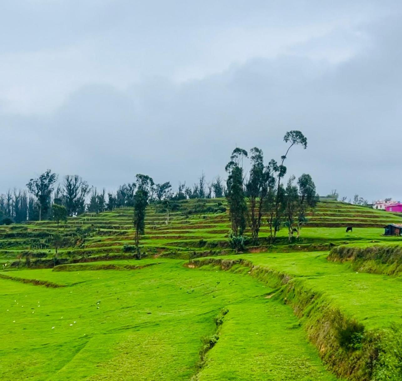 Villa Teyt's Haven - 3 Bhk Ooty