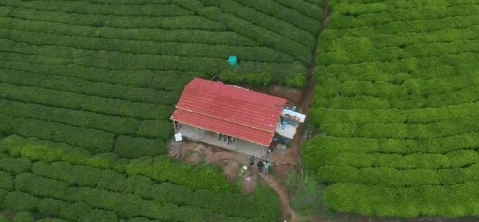 Wild And Free Farm *