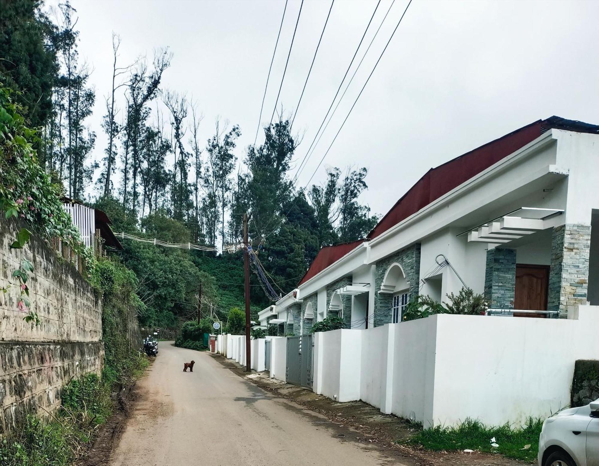 Darza * Ooty