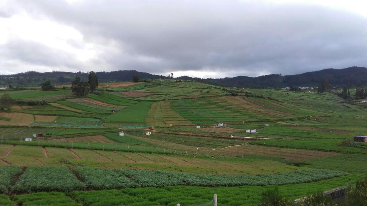 Teestay Redfort * Ooty