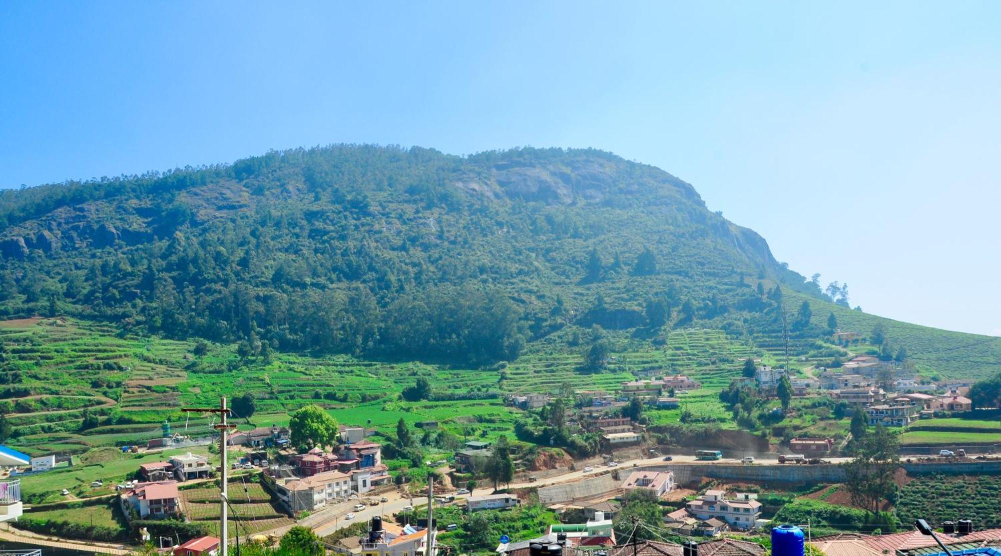 Away From - 5 - In Ooty, *